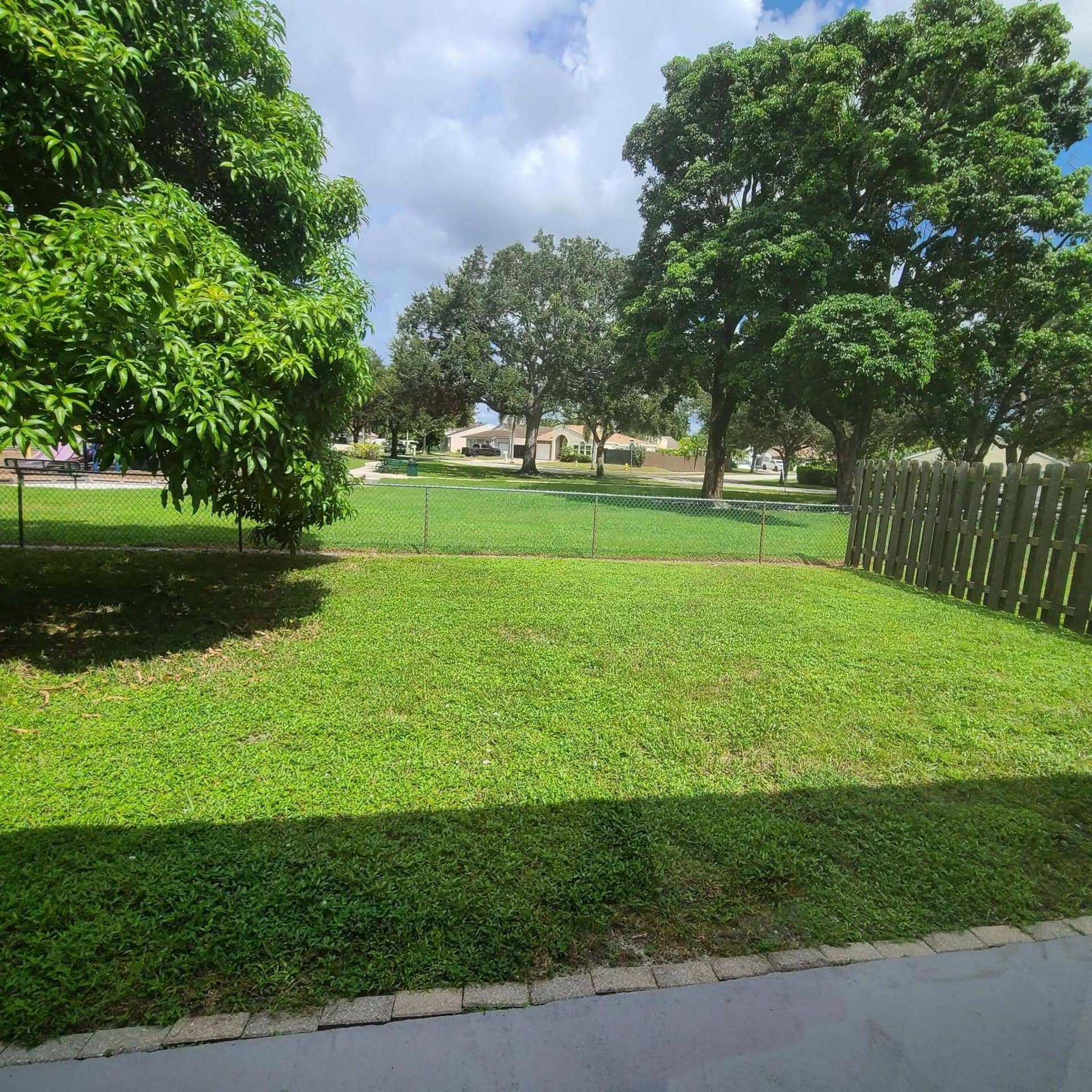 backyard