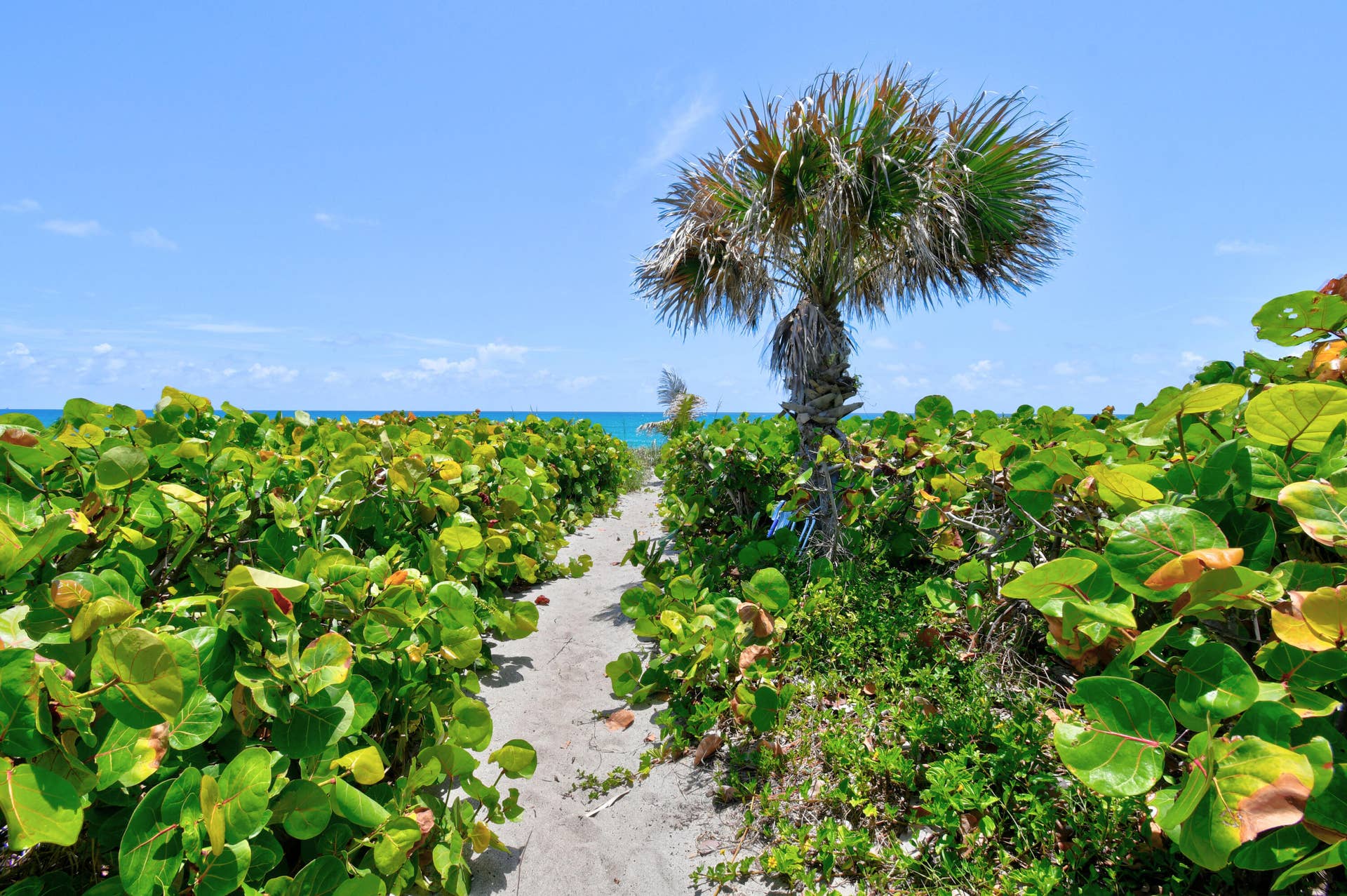 282 Celestial Way, Juno Beach, FL 33408 Beach View