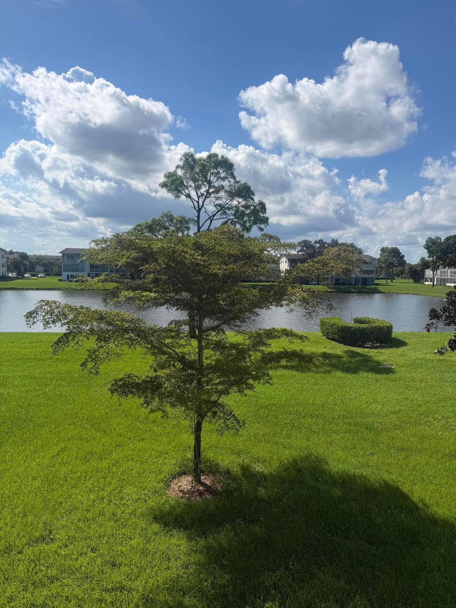 359 Preston I, Boca Raton, FL 33434 IMG_9643 (1)