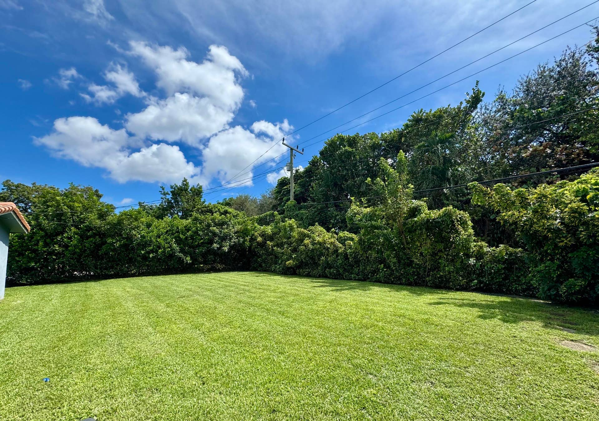 4300 GRANT Street, Hollywood, FL 33021 IMG_6458