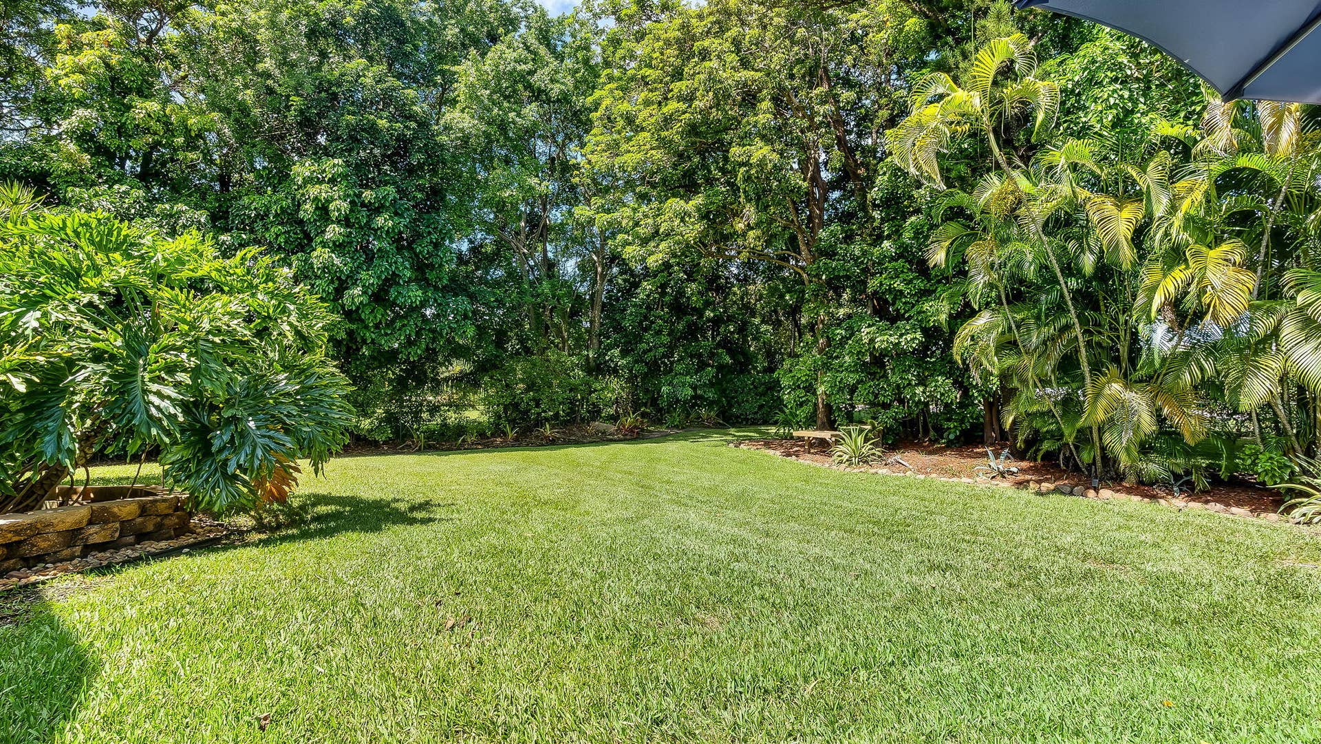 46-web-or-mls-DSC08478