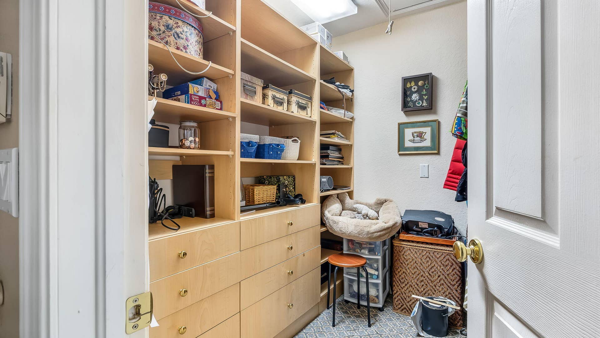 13-web-or-mls-DSC08367