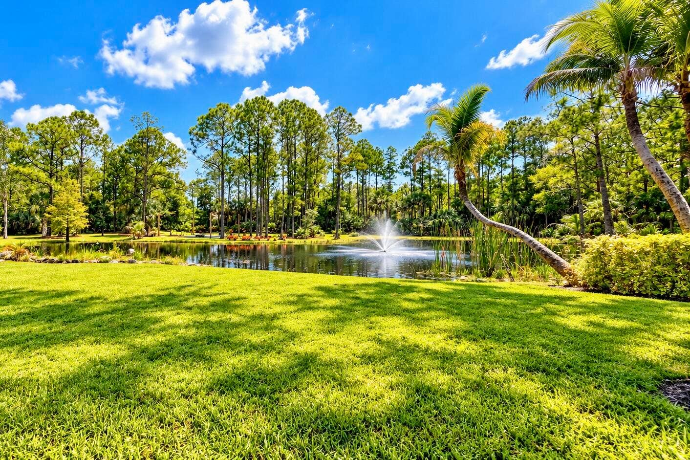 13050 81st Street, Fellsmere, FL 32948 fountain