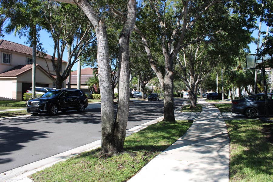 Property photo for 767 Nandina Drive, Weston, FL