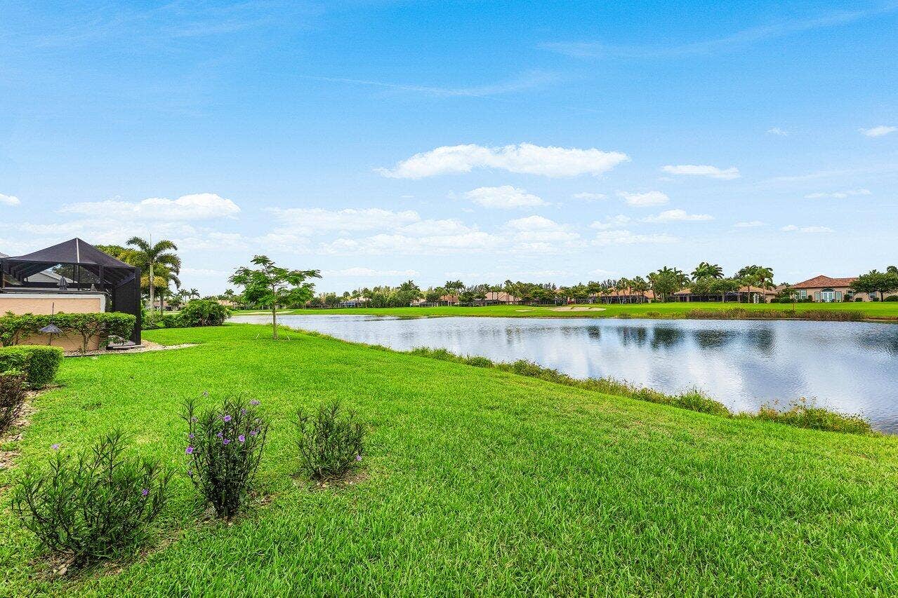 pond