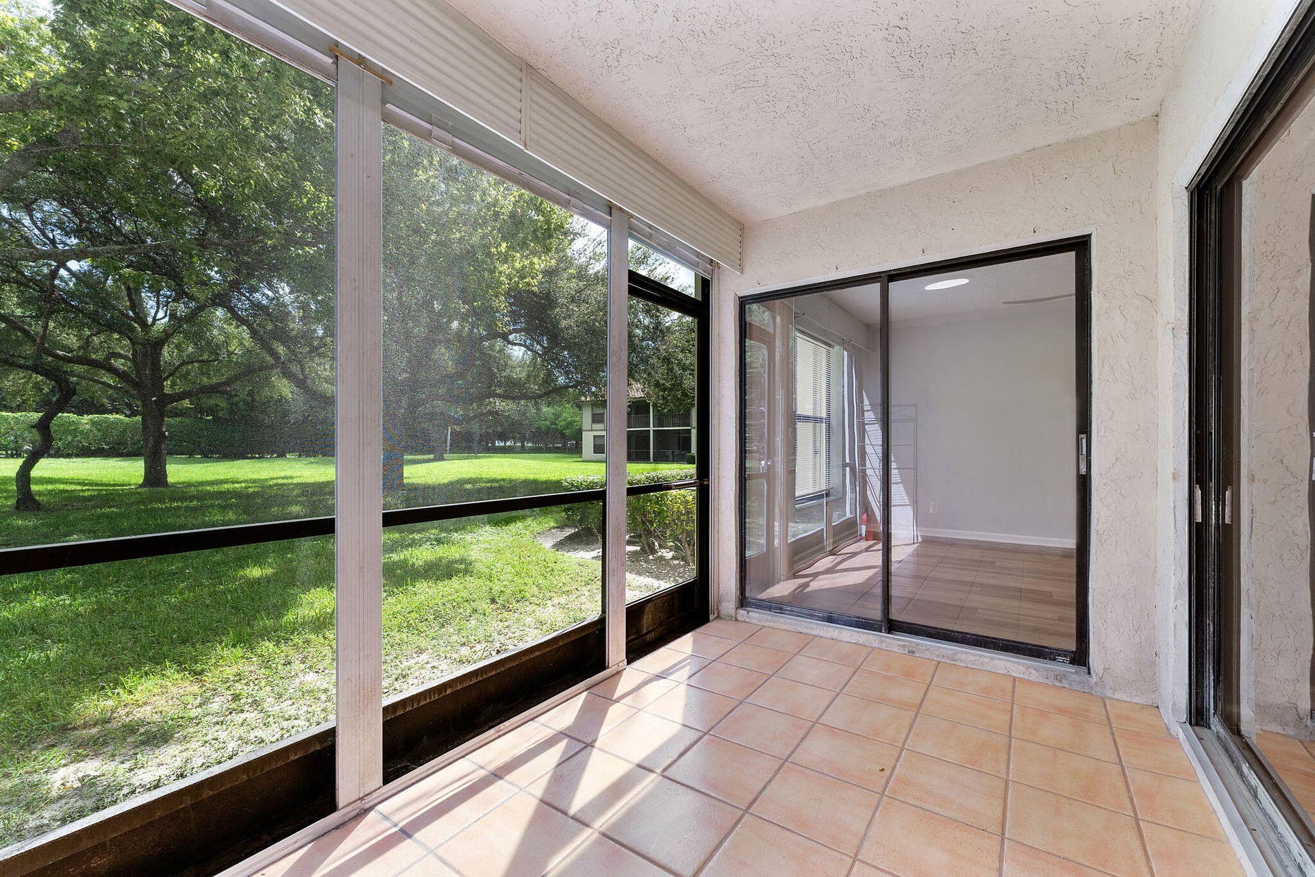 47-web-or-mls-DSC08645