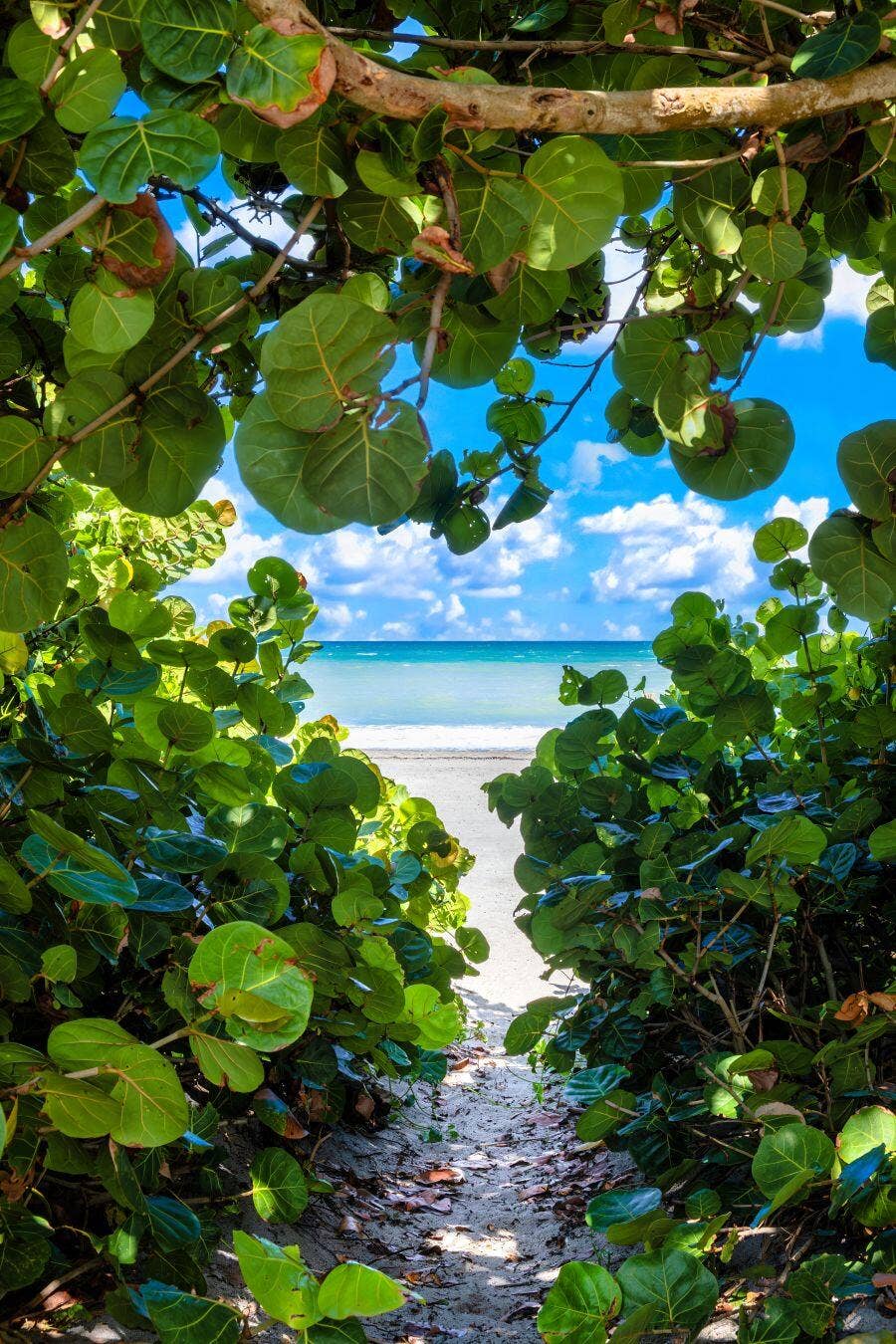 1412 HARBOUR POINT Drive, North Palm Beach, FL 33410 Best Beaches