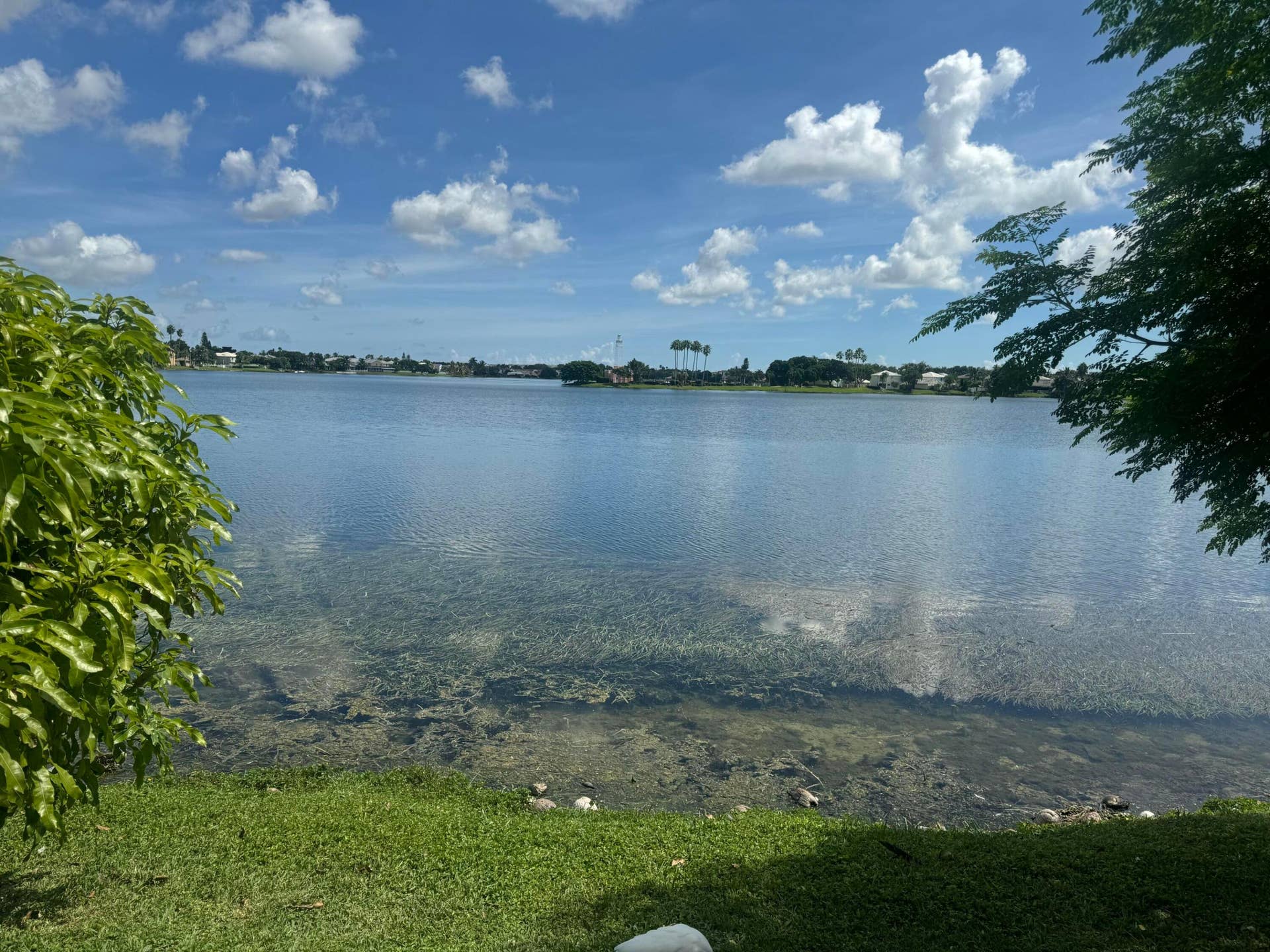 3130 W BUENA VISTA Drive, Margate, FL 33063 IMG_20261007_163443