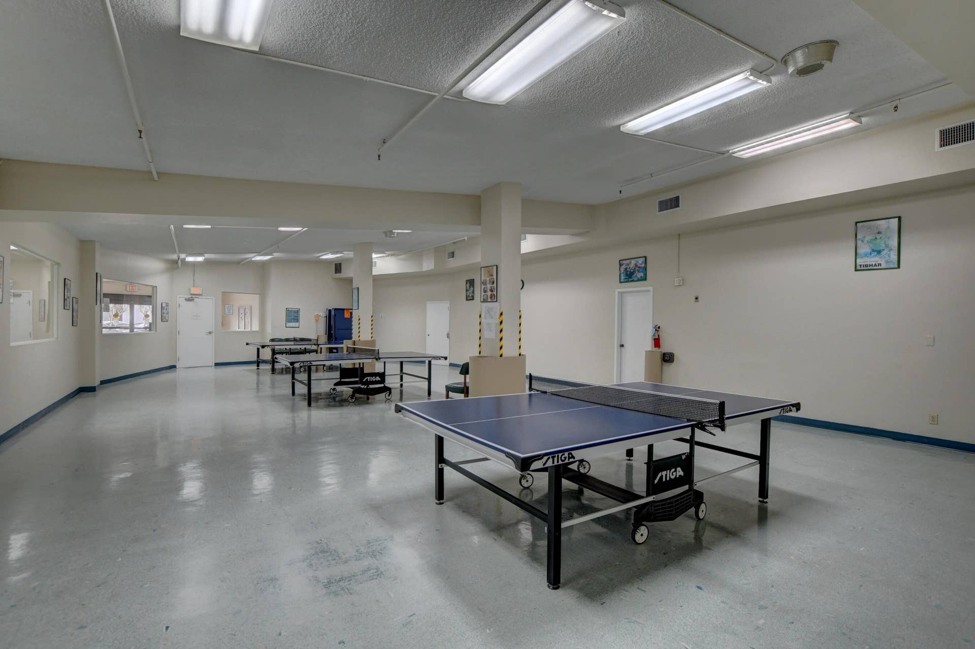 Ping Pong