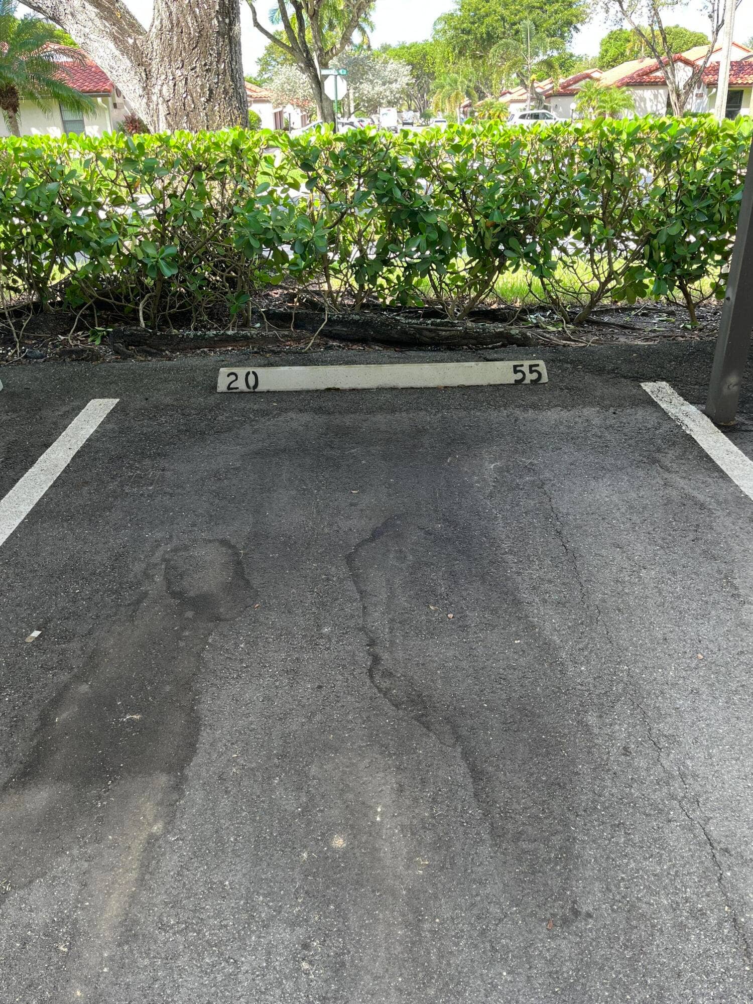 6269 Pointe Regal Circle, #305, Delray Beach, FL 33484 carport parking space #20-55 located directly across from bldg. lobby/elevator area