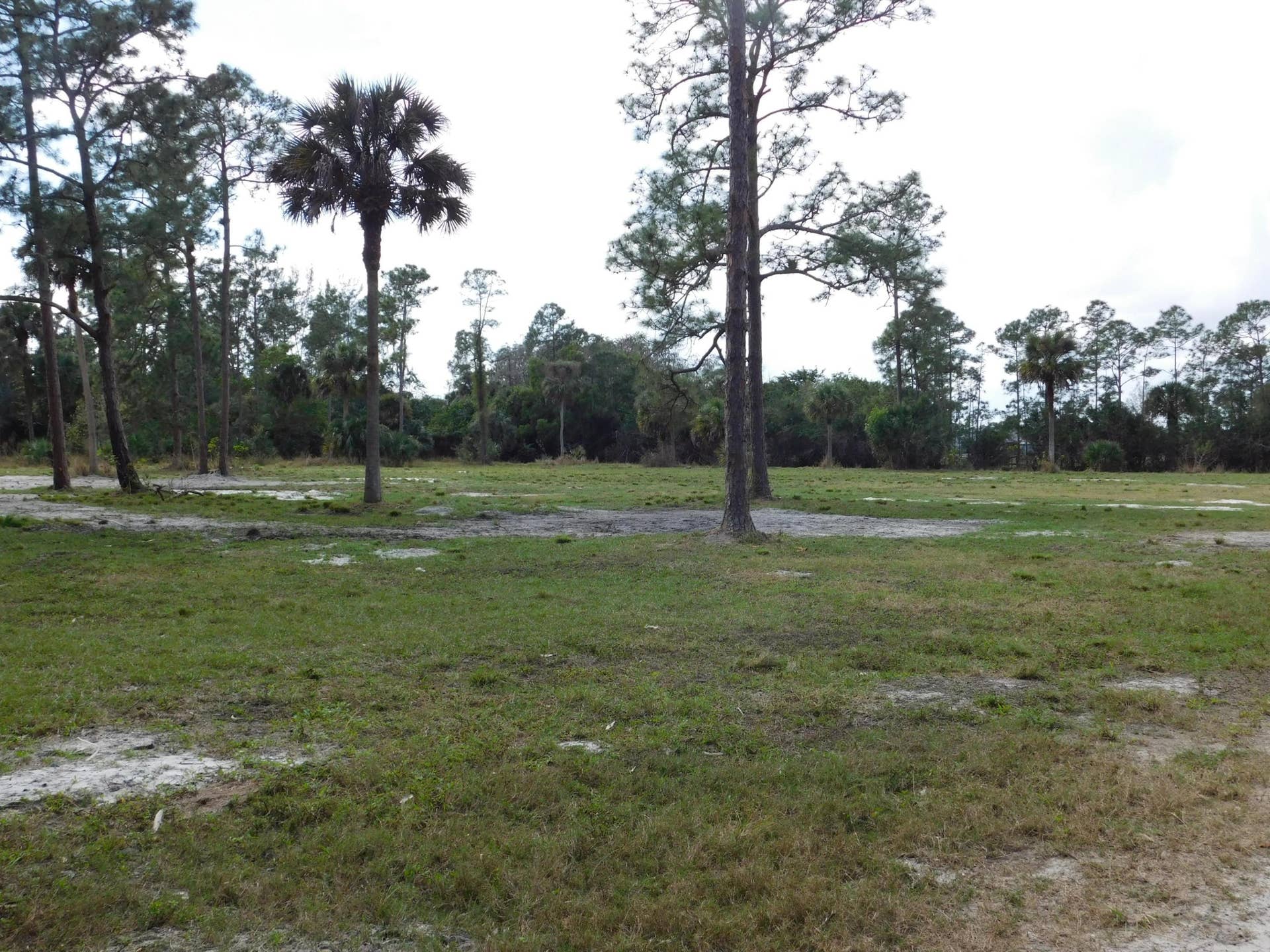 2833 F Road, Loxahatchee Groves, FL 33470 2833 f rd back acreage