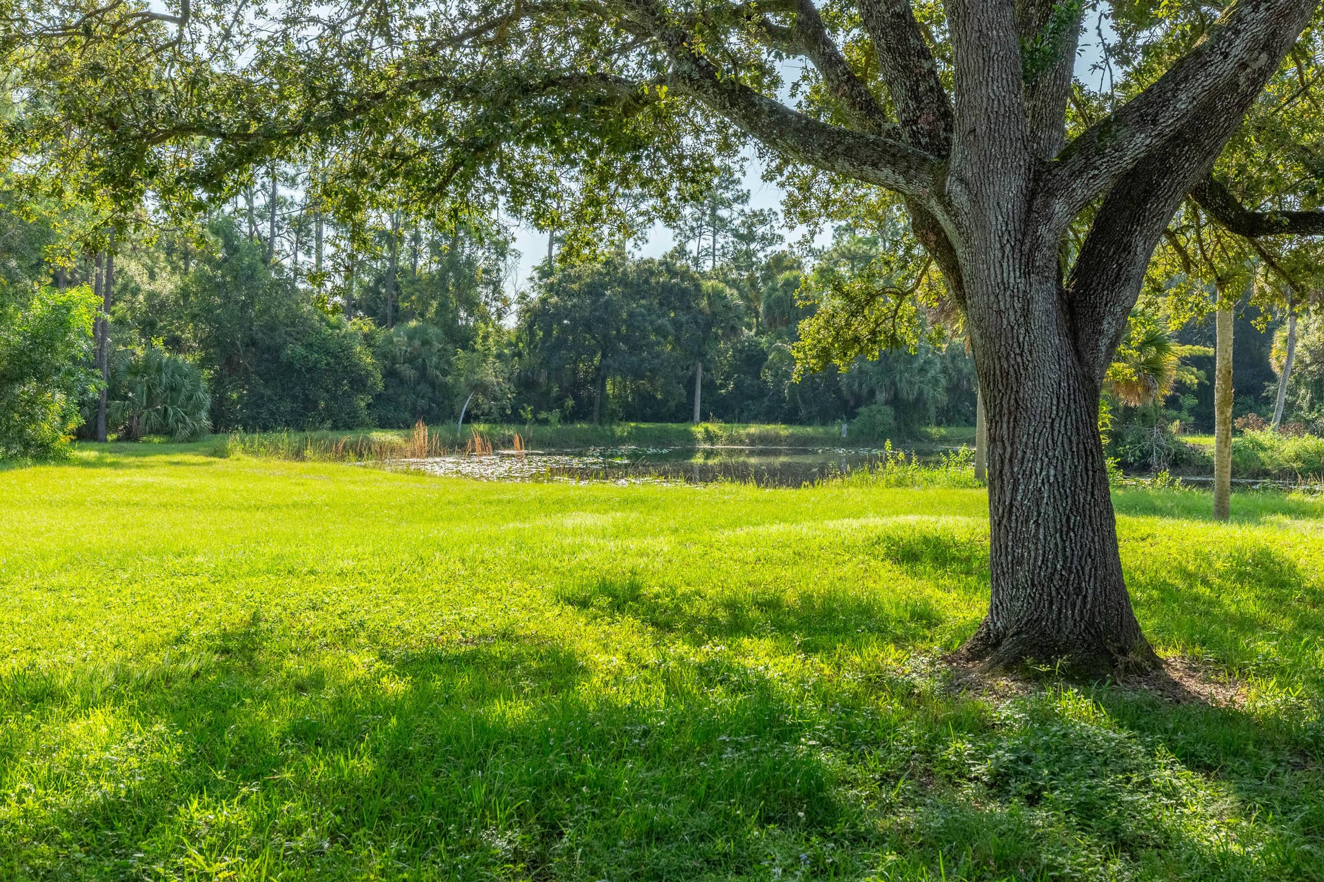 2833 F Road, Loxahatchee Groves, FL 33470 2833 f rd pond