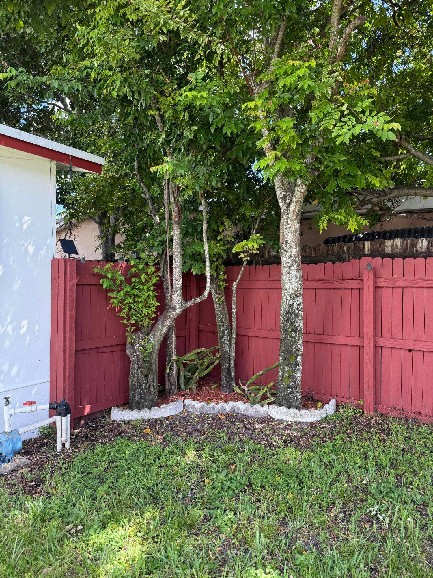 7440 FREEDOM Street, Hollywood, FL 33024 IMG_0342