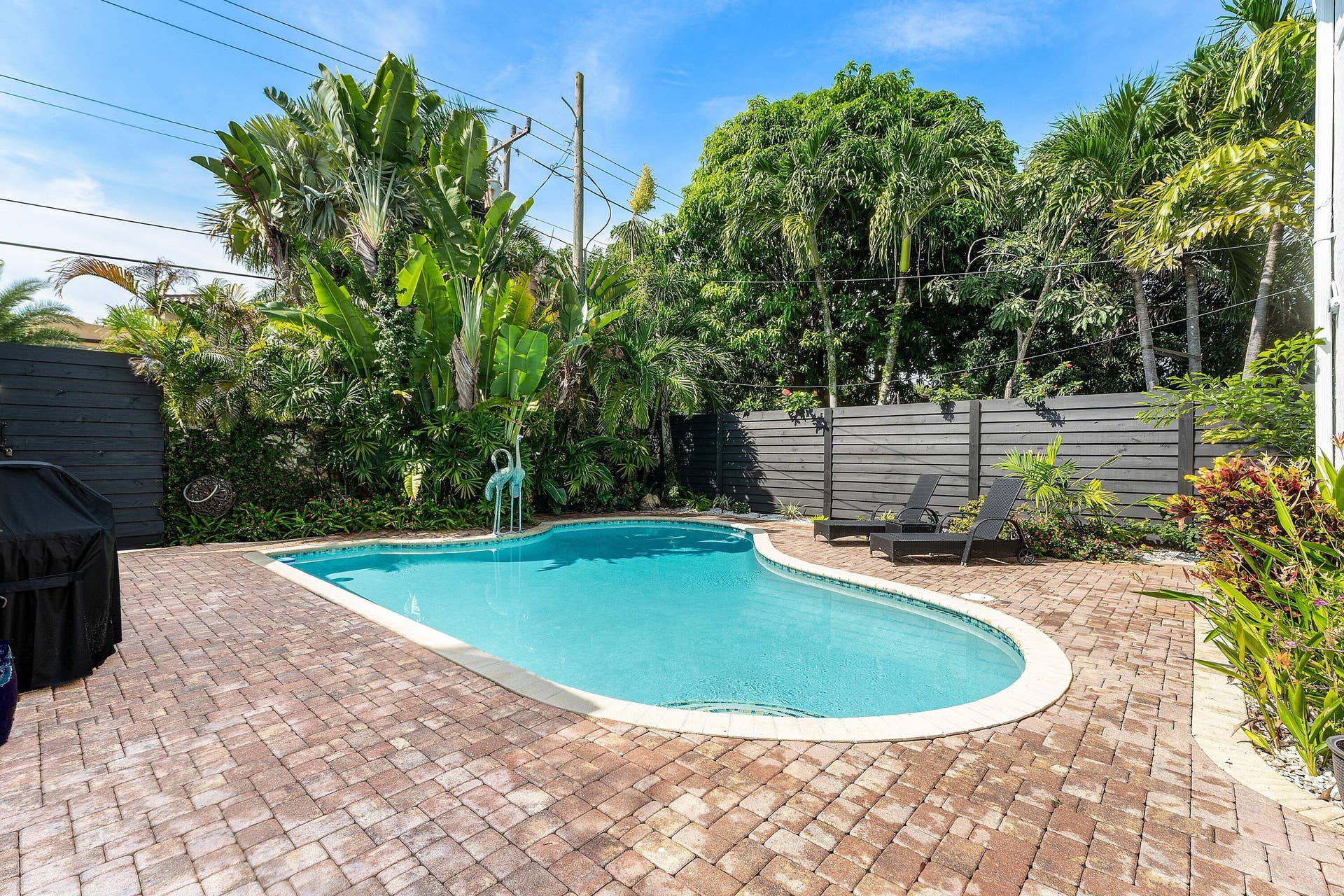 Pool deck.