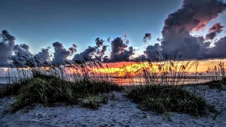 South Hutchinson Island offers a quieter, less crowded coastal lifestyle with natural shorelines, world-class fishing, and casual waterfront dining