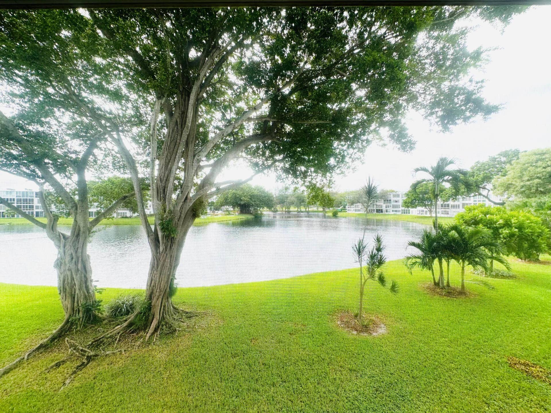 2031 Durham B, Deerfield Beach, FL 33442 IMG_2534