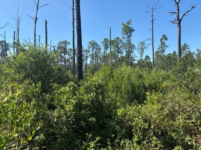 Property photo for 0 Hwy 630e, Frostproof, FL