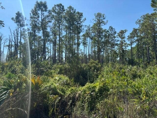 Property photo for 0 Hwy 630e, Frostproof, FL