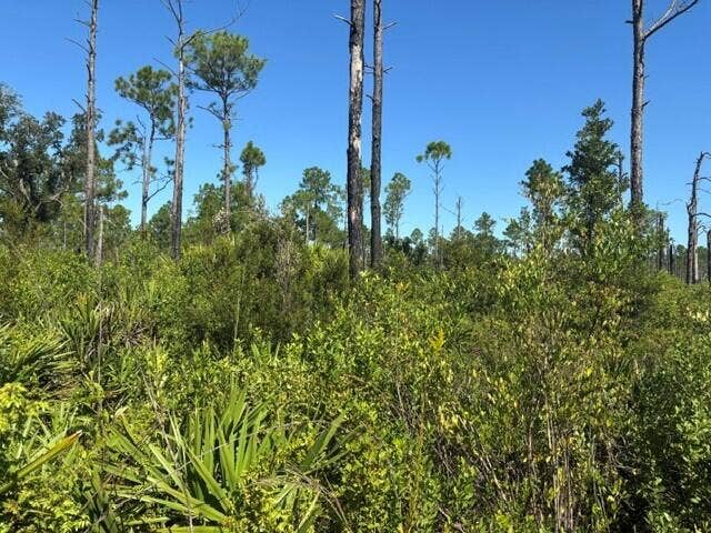 Property photo for 0 Hwy 630e, Frostproof, FL