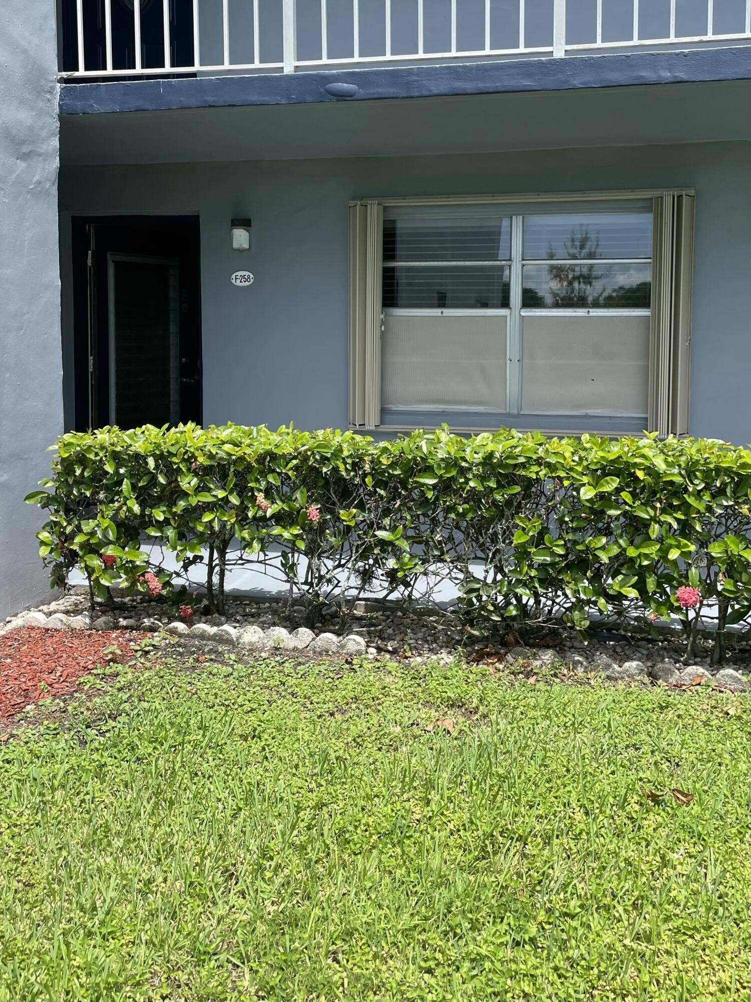 Front Door & Living Room Window