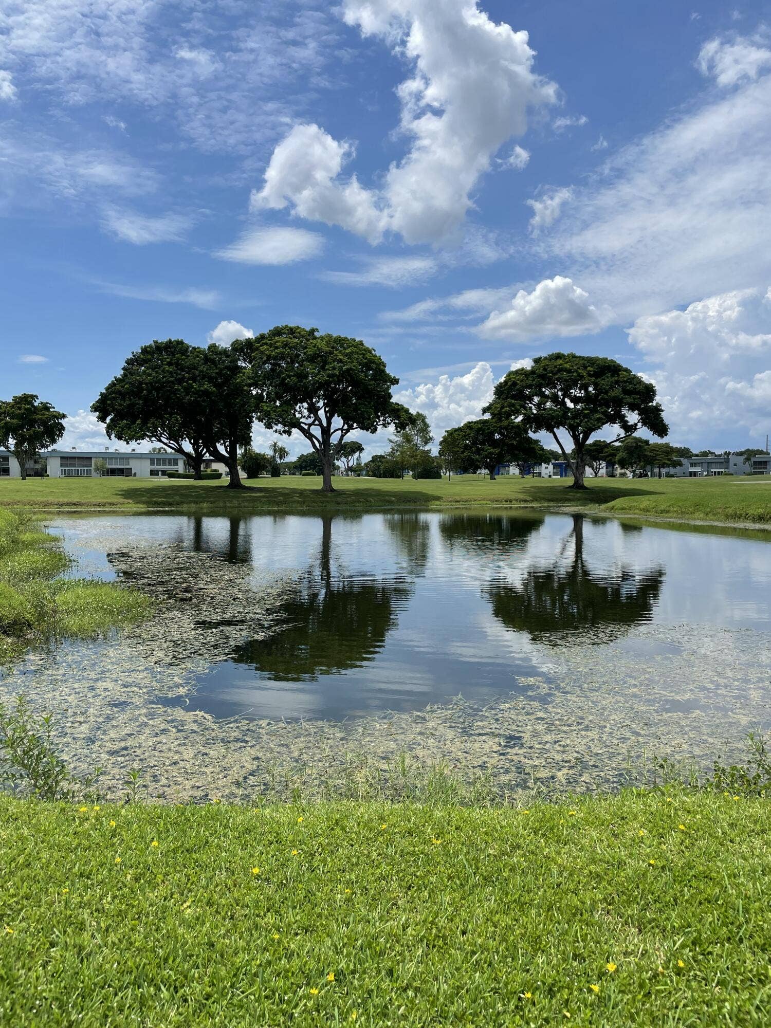 Beautiful Grounds