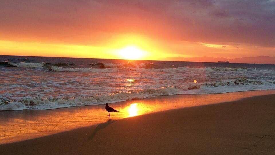 Sunrises
