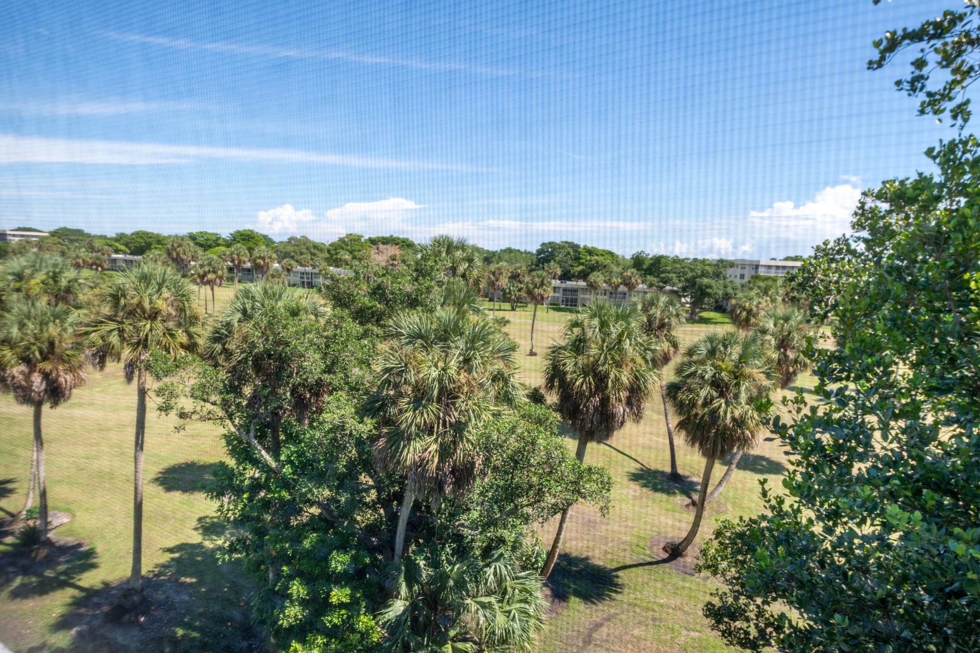 View from Balcony
