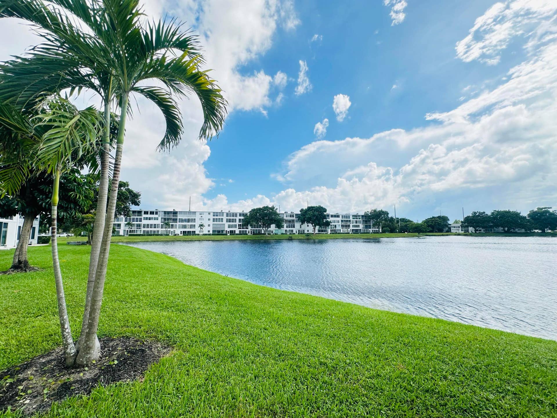 Gorgeous Lake View