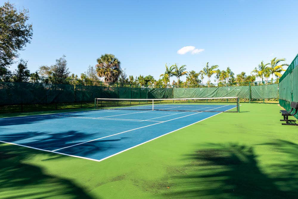 7159EsteroDr22 tennis bask