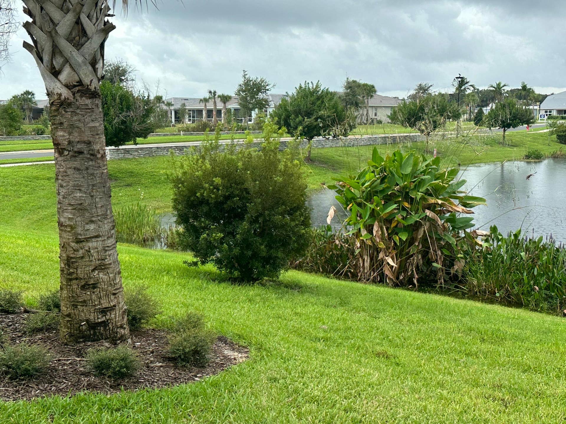 Lawn and irrigation taken care of by the HOA with the 318.66 mo. fee along with