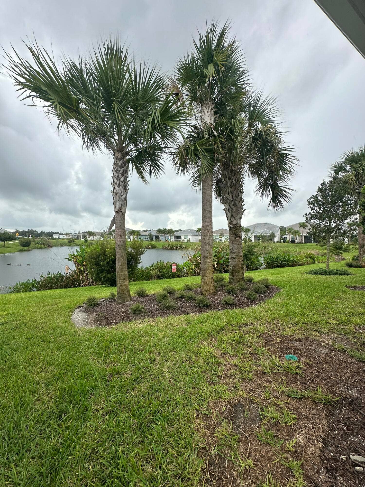 Notice the vastness offering mature landscaping throughout the community