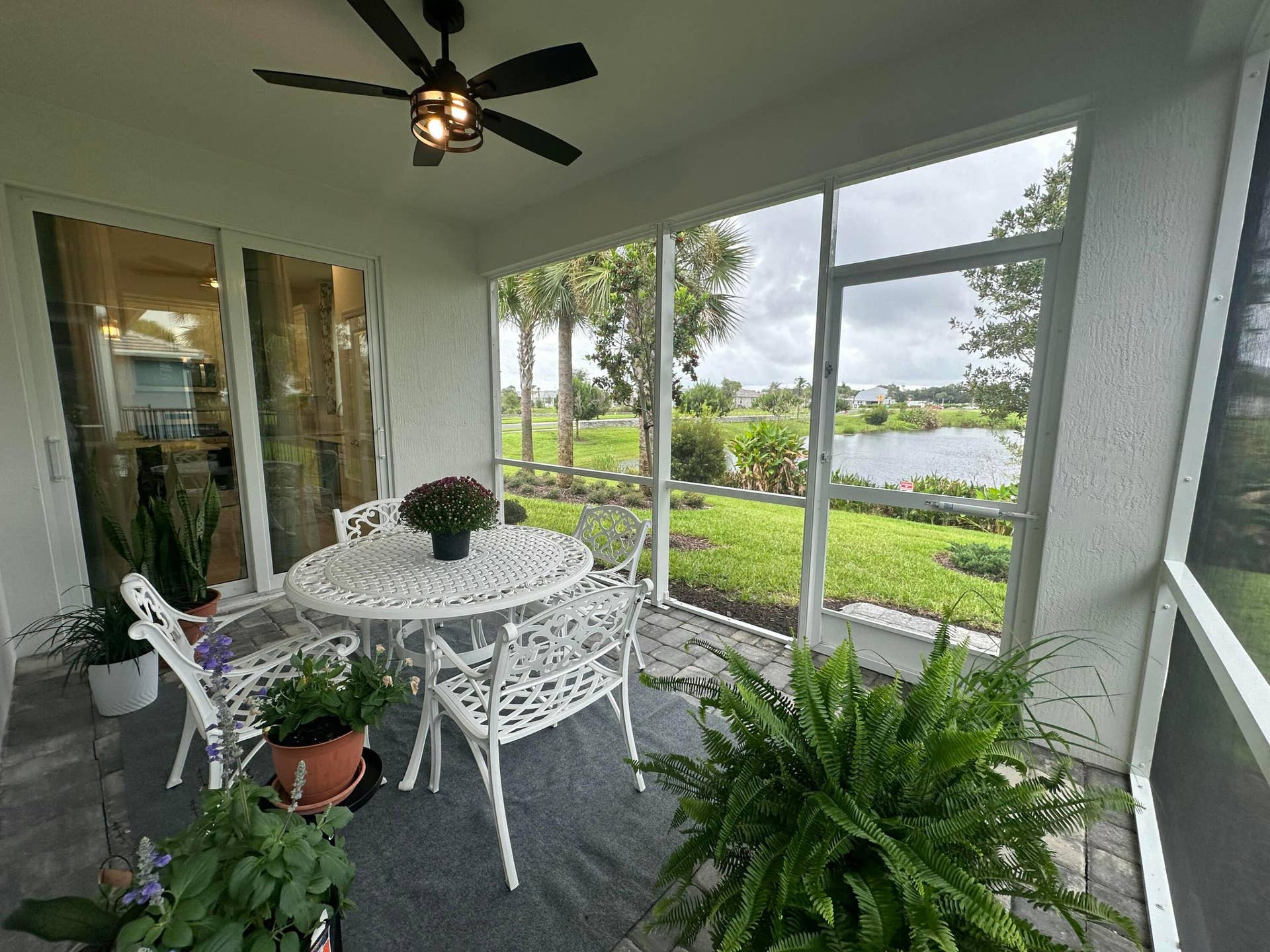 enjoy your backyard lake view for bird watching