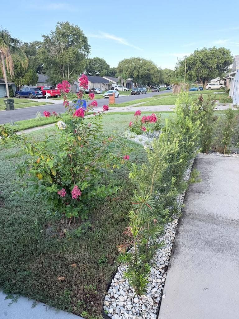 Kissimmee, FL 34744 Landscaped front yard featuring flowering shrubs, ground cover, and a rock border