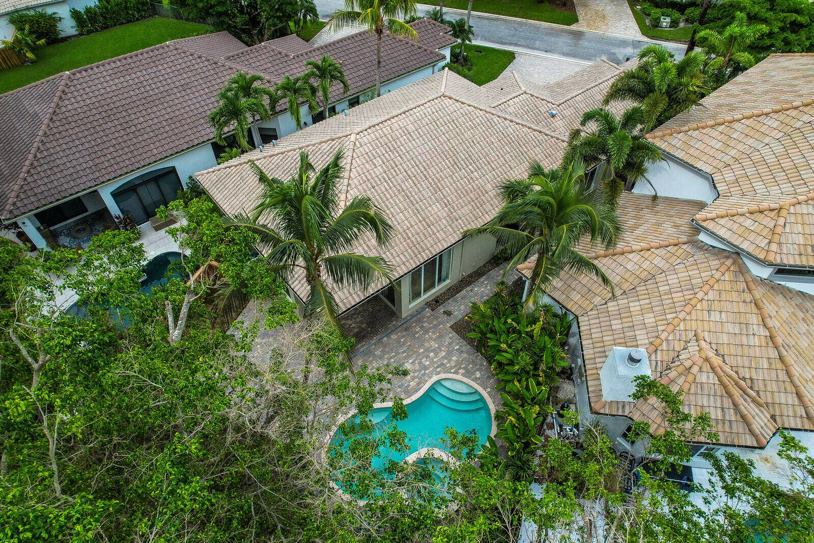 Curved swimming pool, paver patio, lush landscaping, and tile roofing