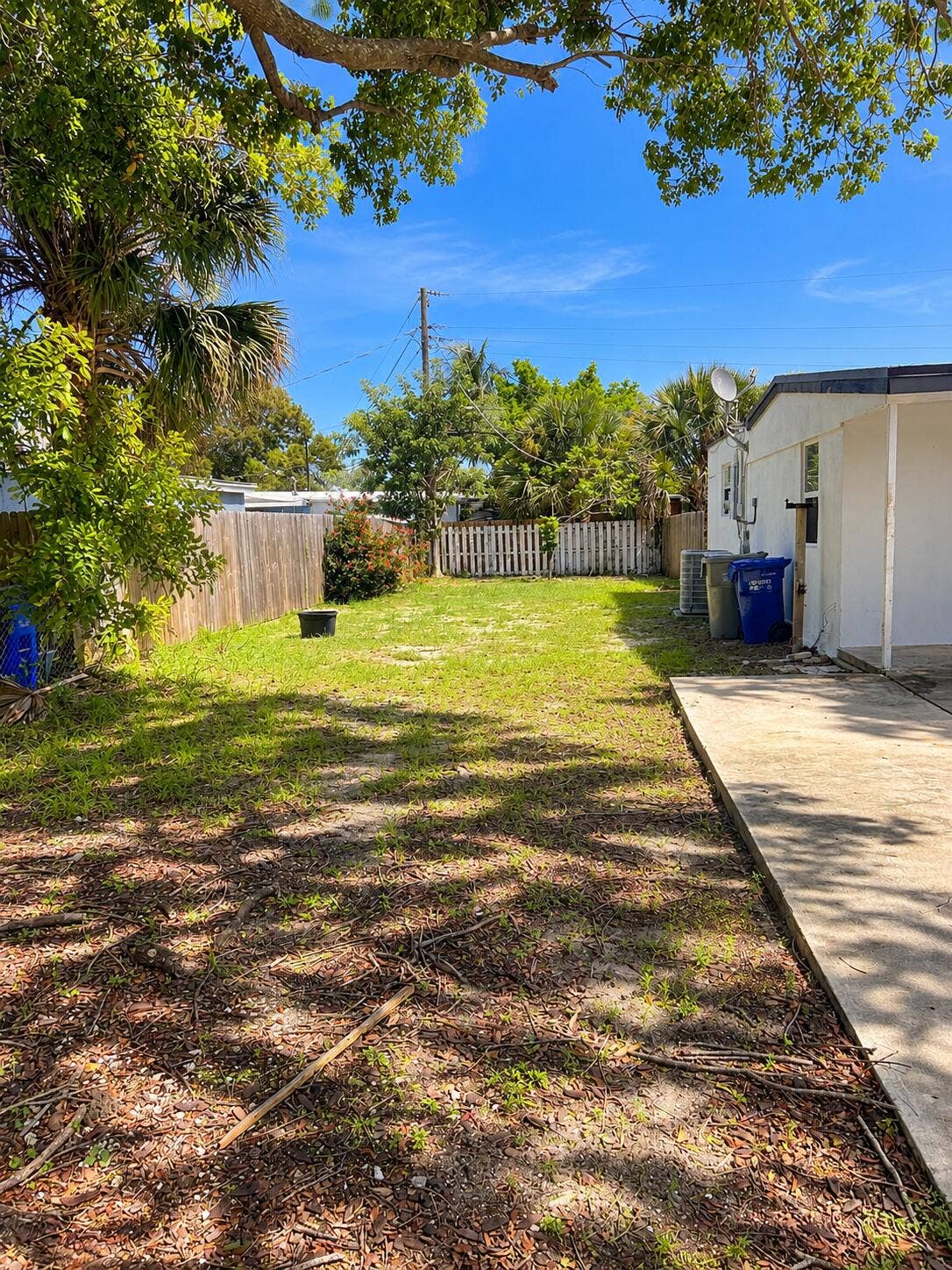 Sunny Tropical Backyard with Tree Shadow