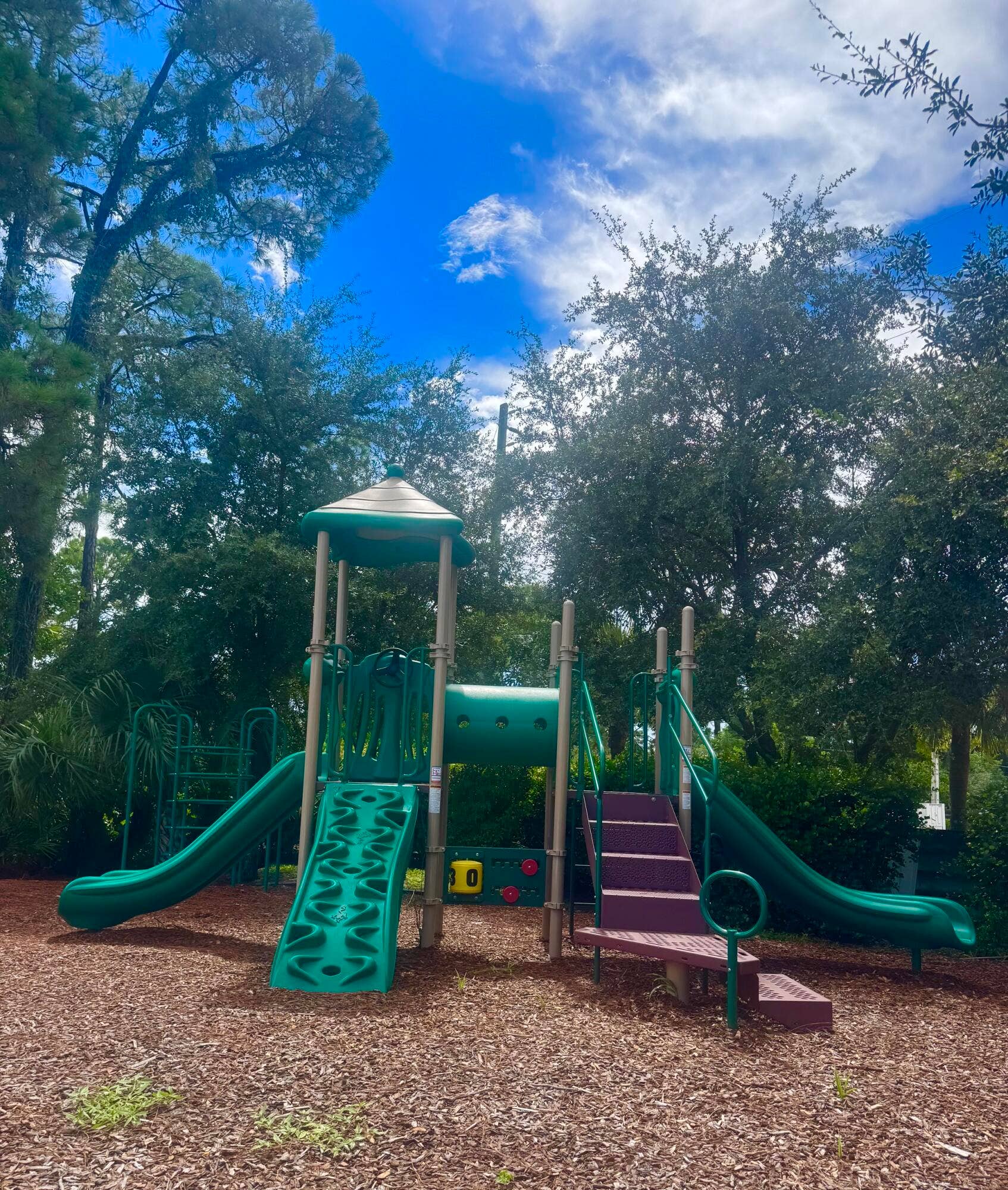 2306 Seminole Palms Drive, Greenacres, FL 33463 IMG_4310