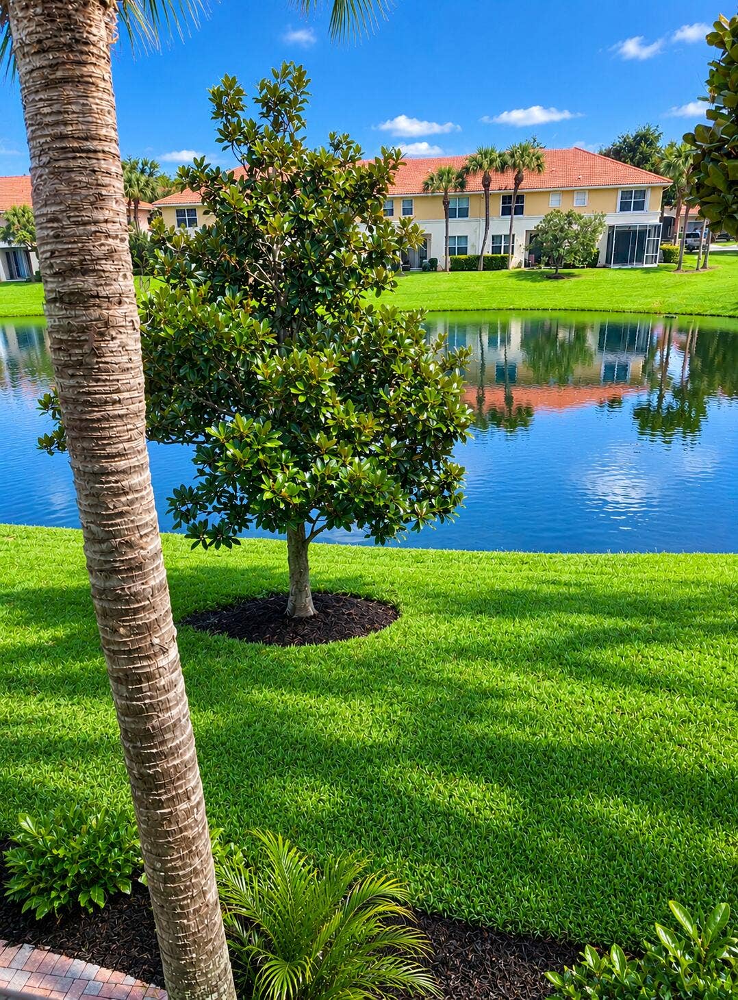 2306 Seminole Palms Drive, Greenacres, FL 33463 2306 seminole back yard water lake rev