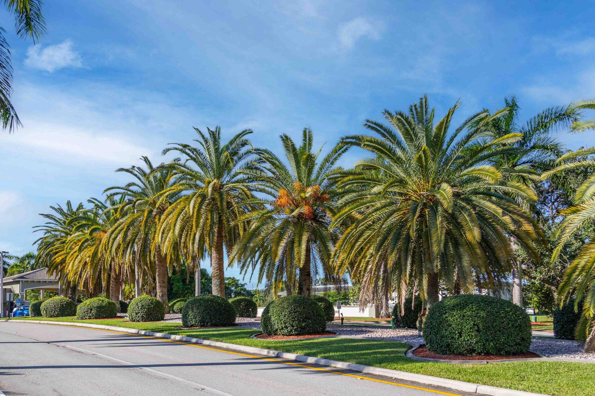 1604 ABACO Drive, #D1, Coconut Creek, FL 33066 Gate- Coconut Creek Pkwy