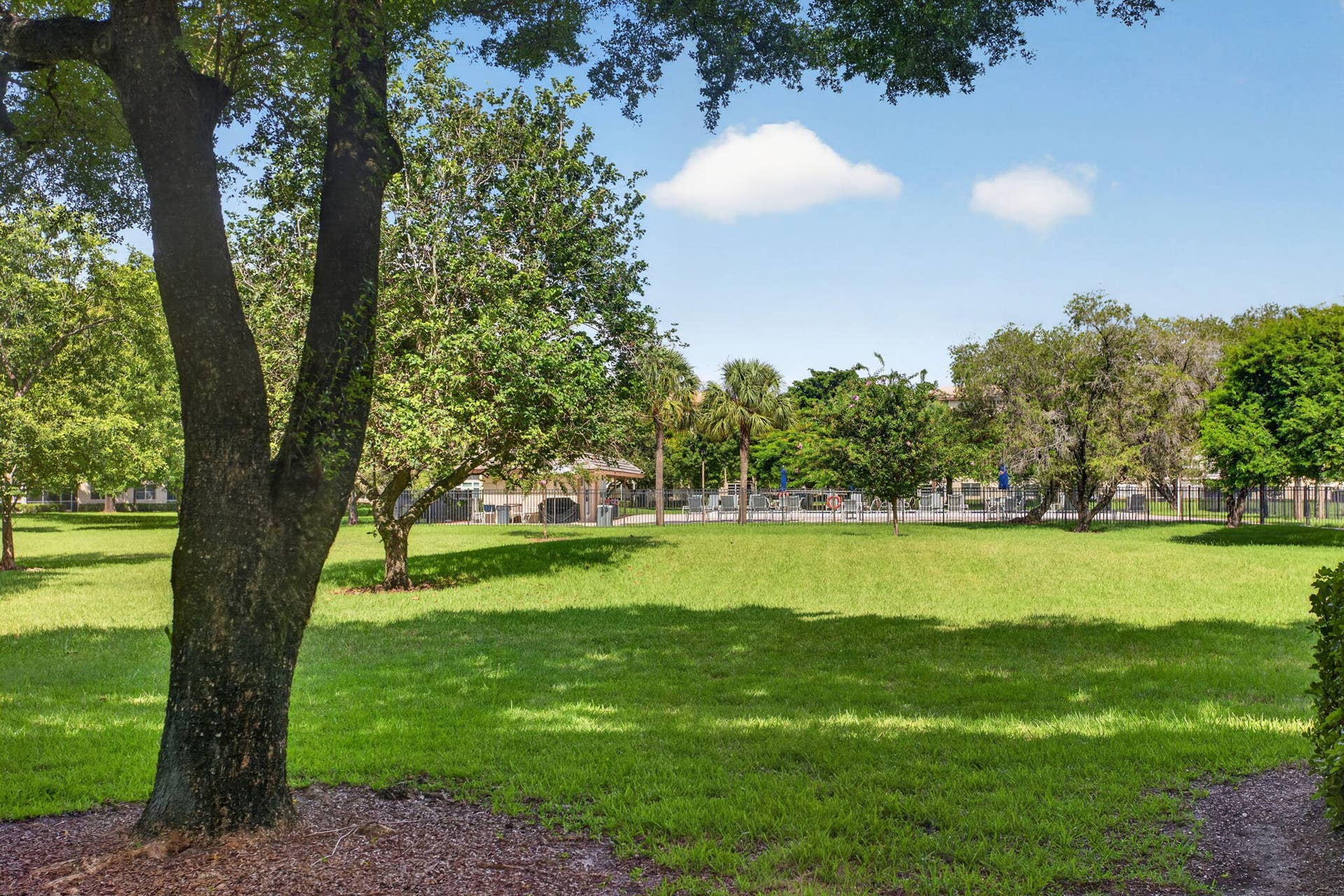 1604 ABACO Drive, #D1, Coconut Creek, FL 33066 View from Patio