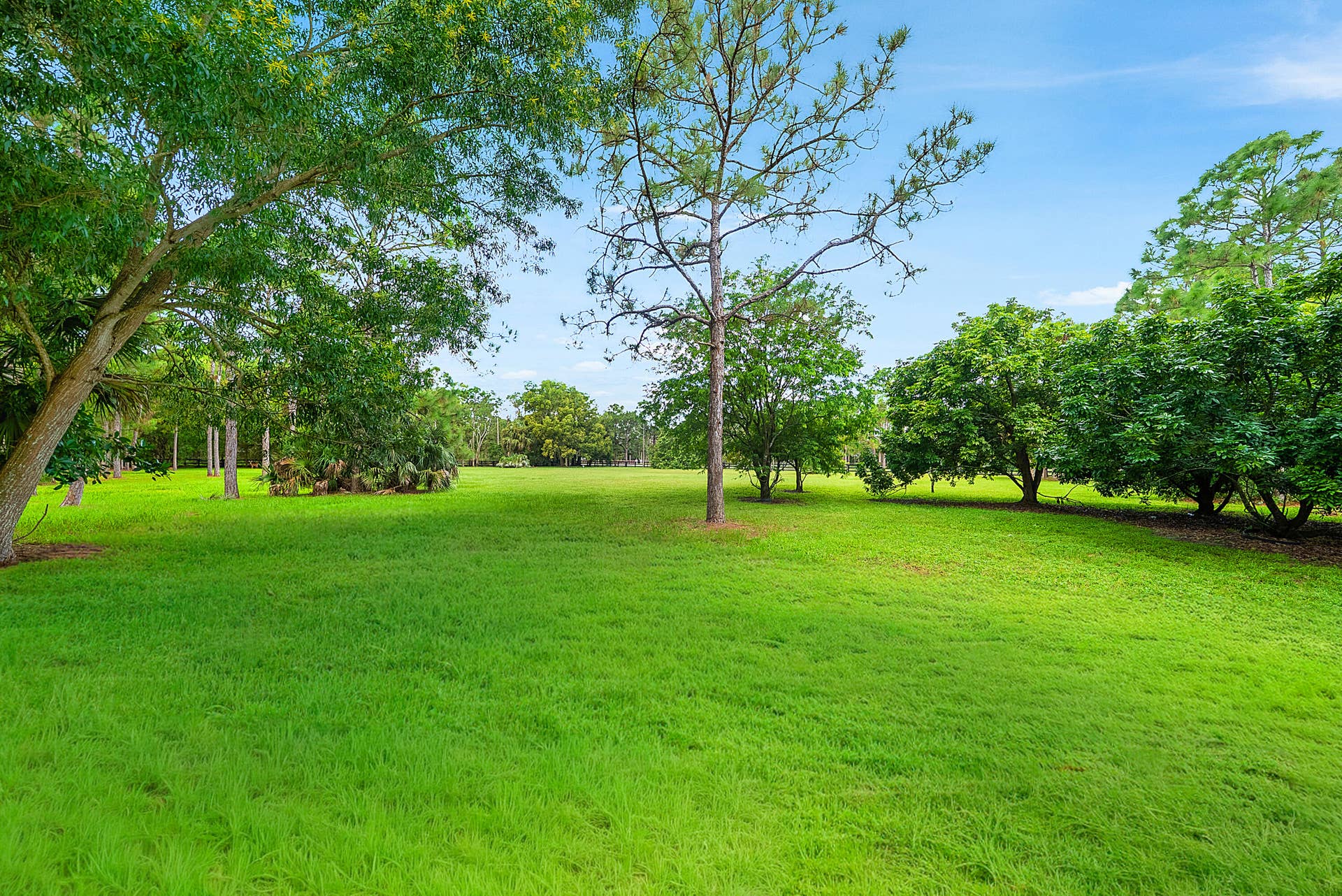 Partially cleared lot