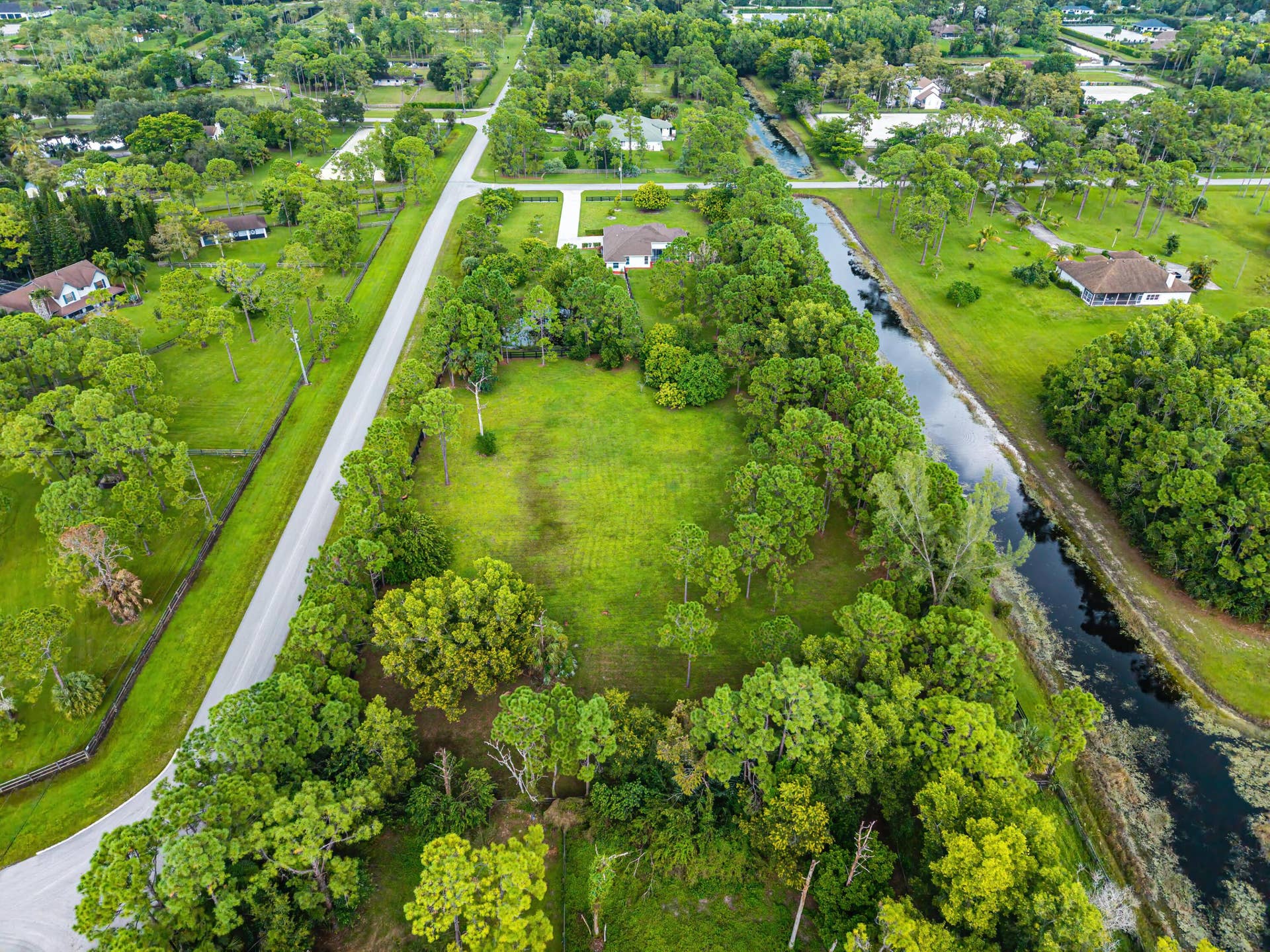 Aerial From Back