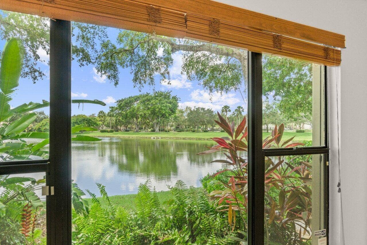 View from Living Room