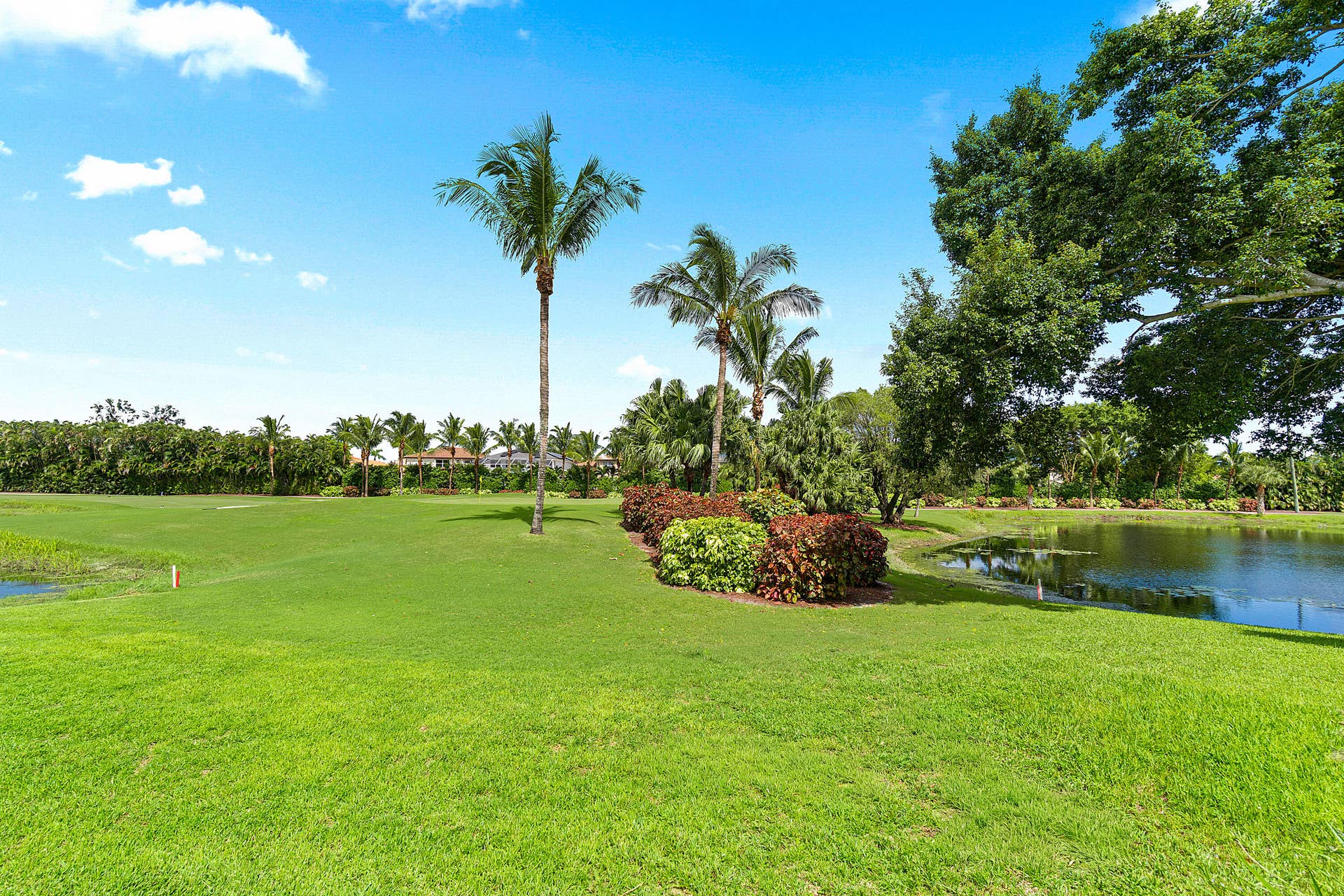 Golf/Lake View