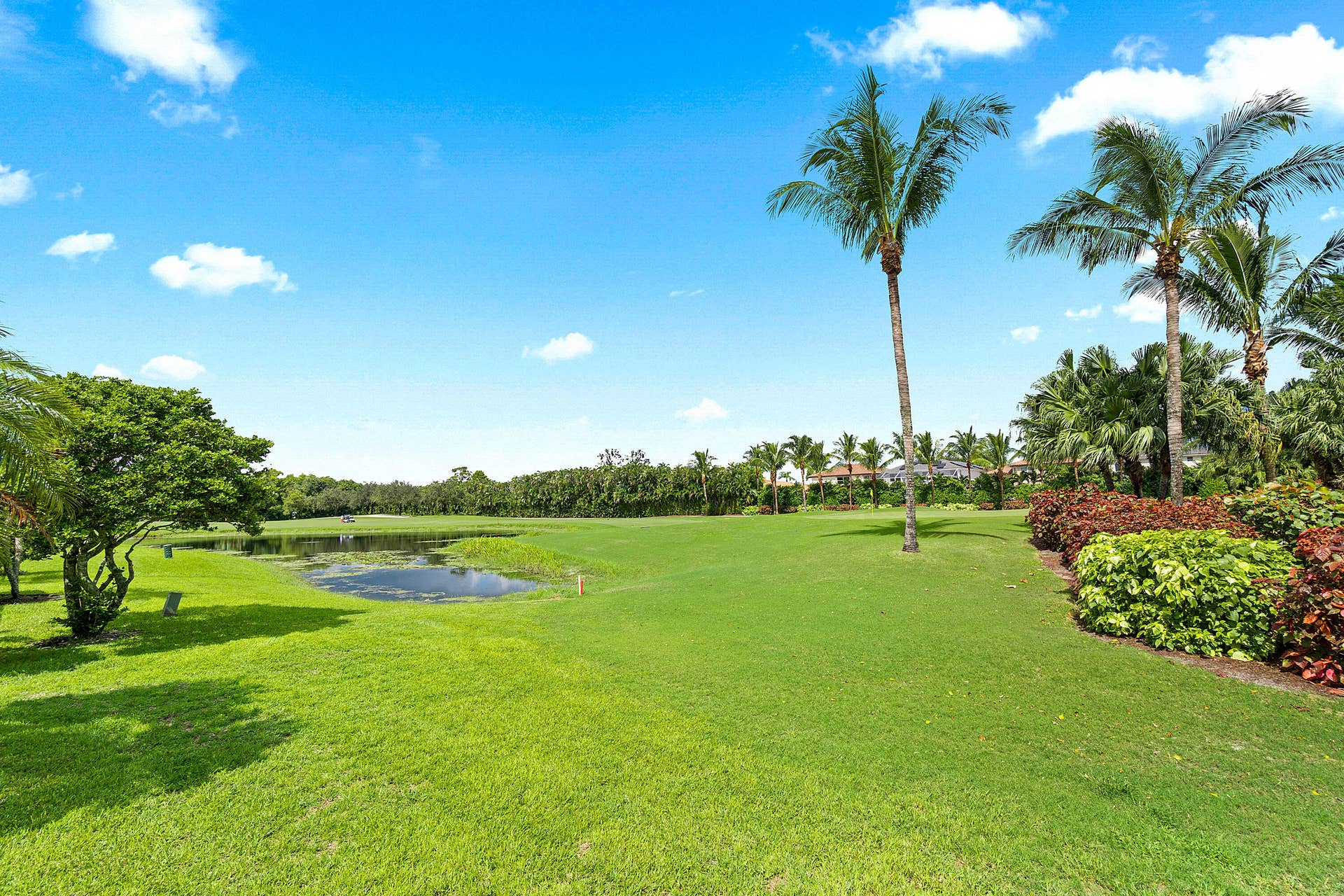 Golf View