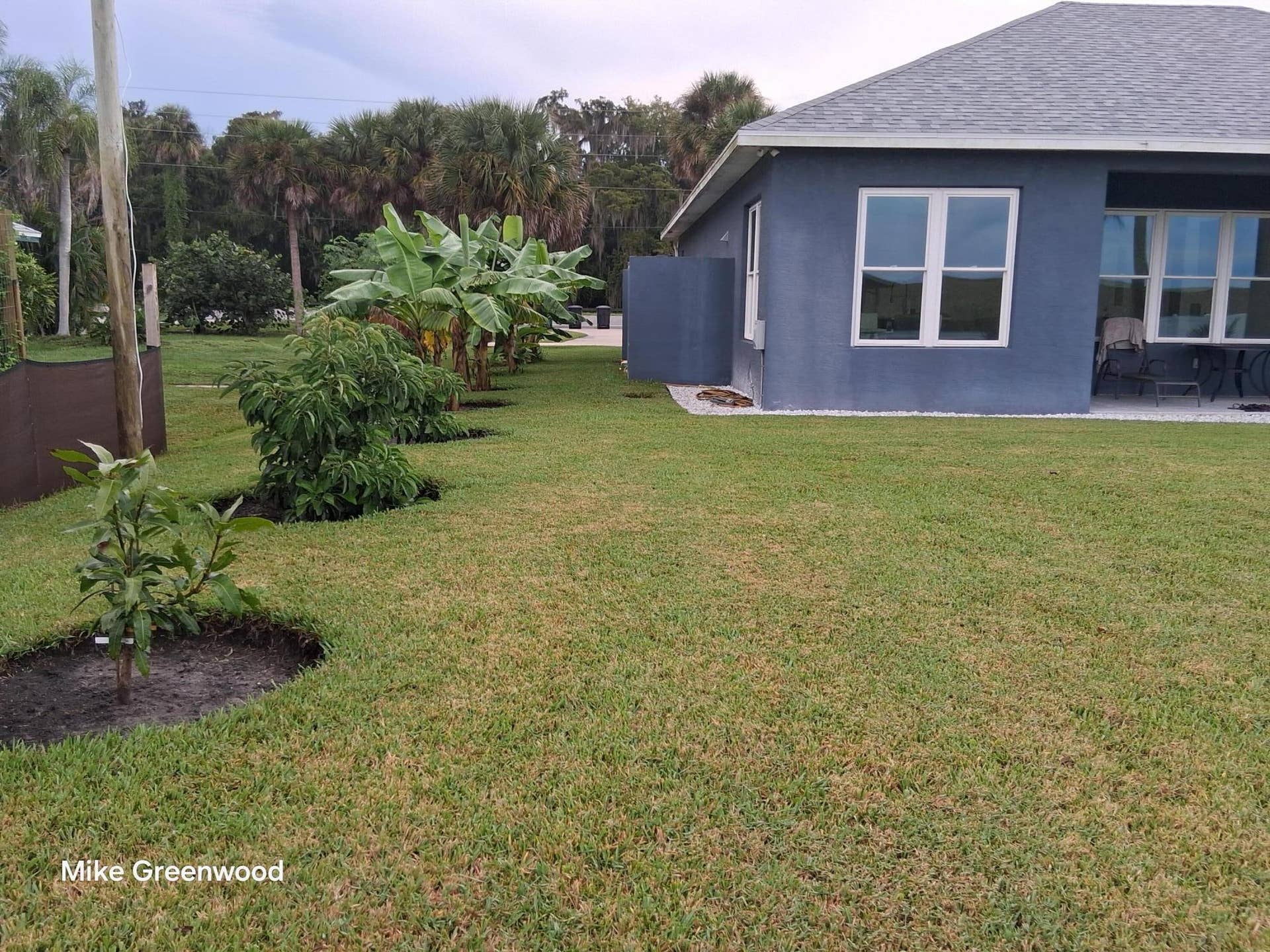 7952 SE US HIGHWAY 441 SE, Okeechobee, FL 34974 side view showing banana, mango and avocado trees