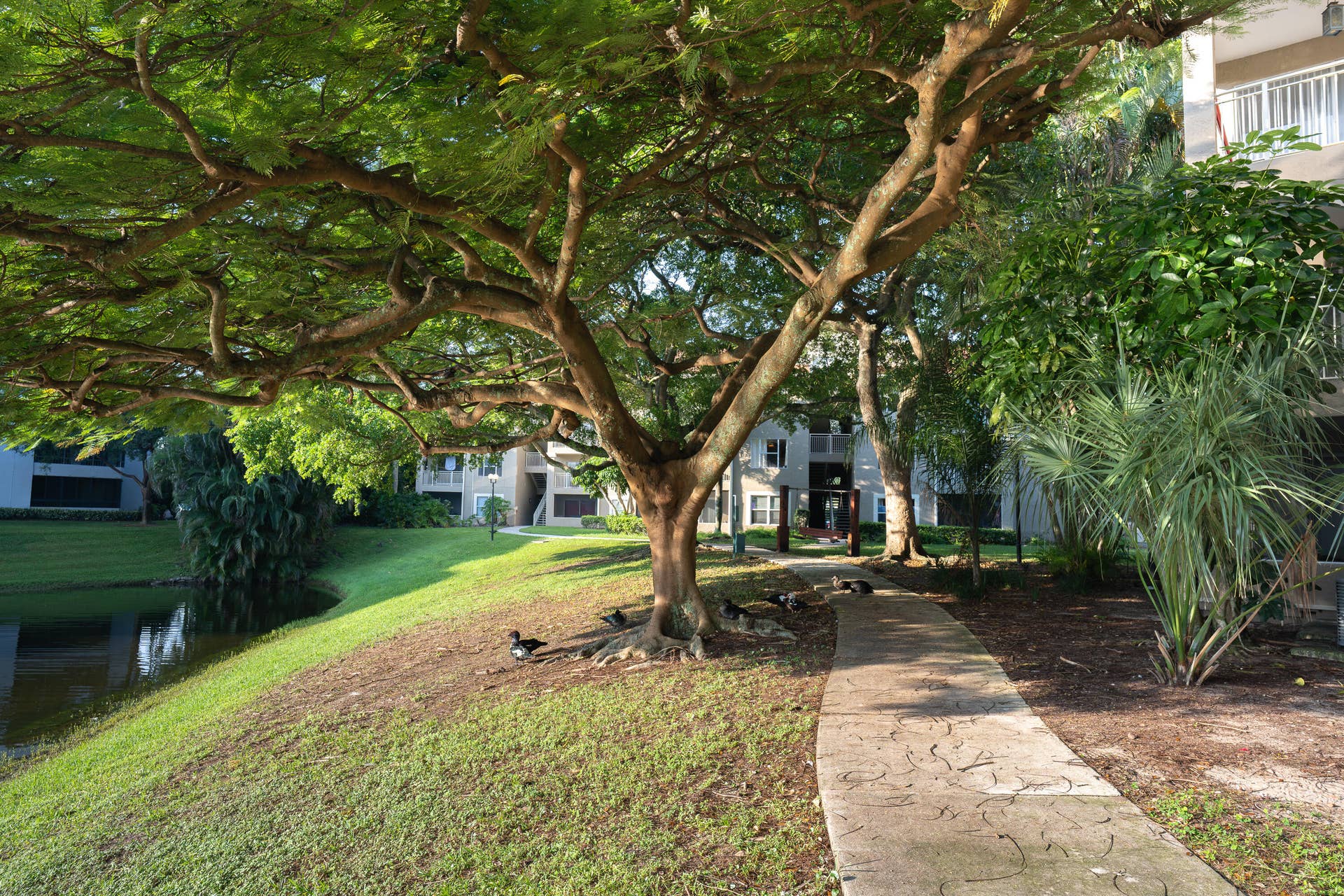 1865 Palm Cove Boulevard, #9-209, Delray Beach, FL 33445 Trail3