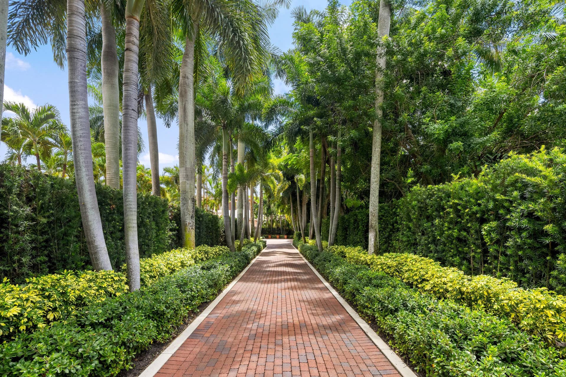 Entry Driveway
