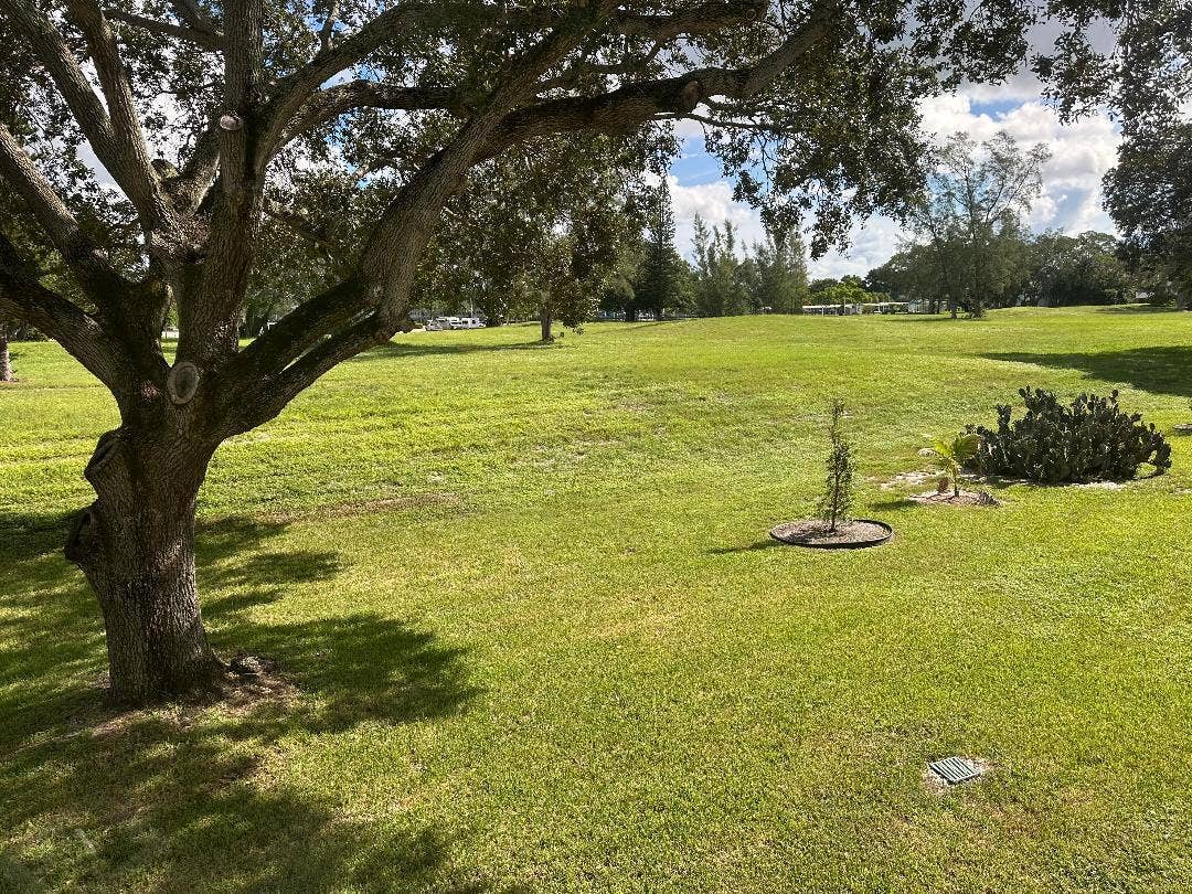 2023 Lyndhurst I, Deerfield Beach, FL 33442 backyard