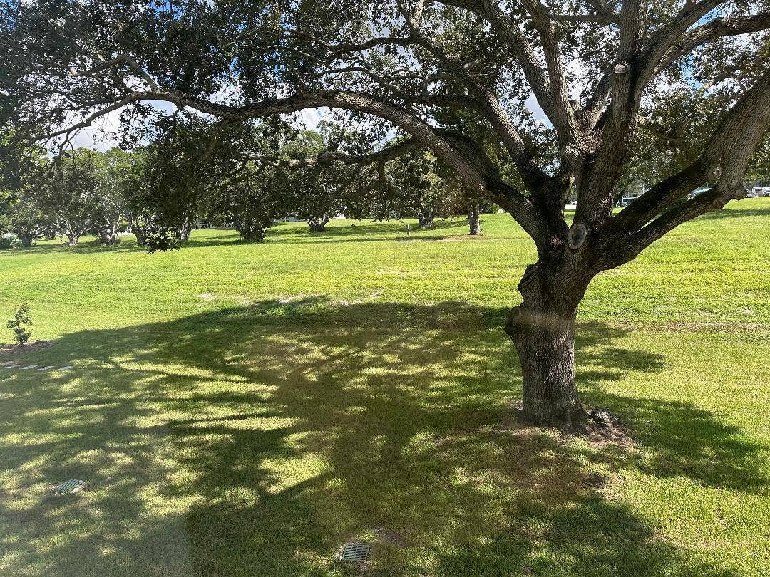 2023 Lyndhurst I, Deerfield Beach, FL 33442 backyard
