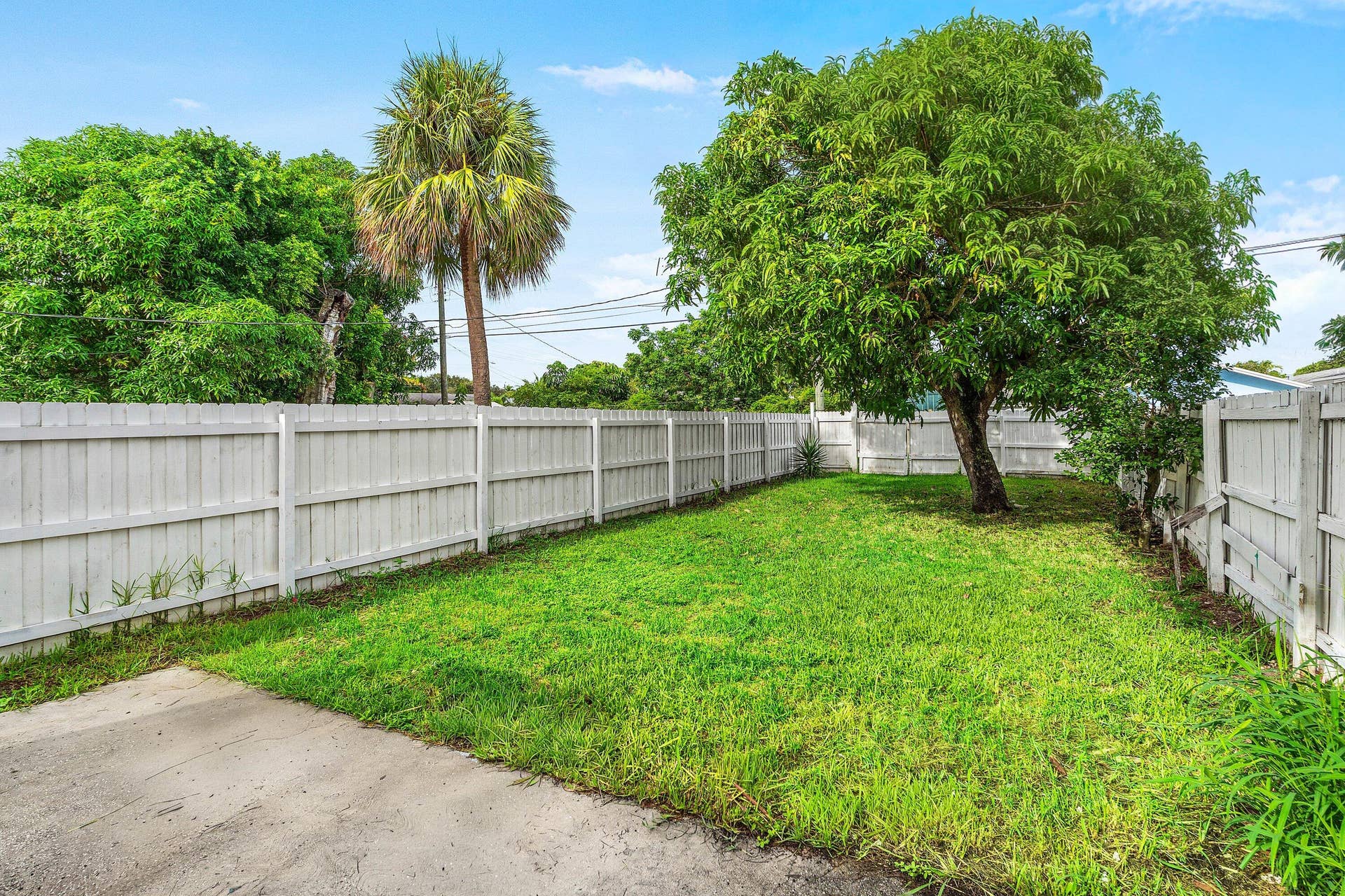 Spacious Backyard